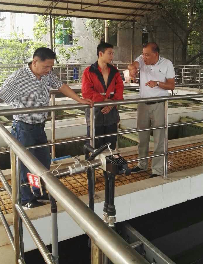 創新技改促發展