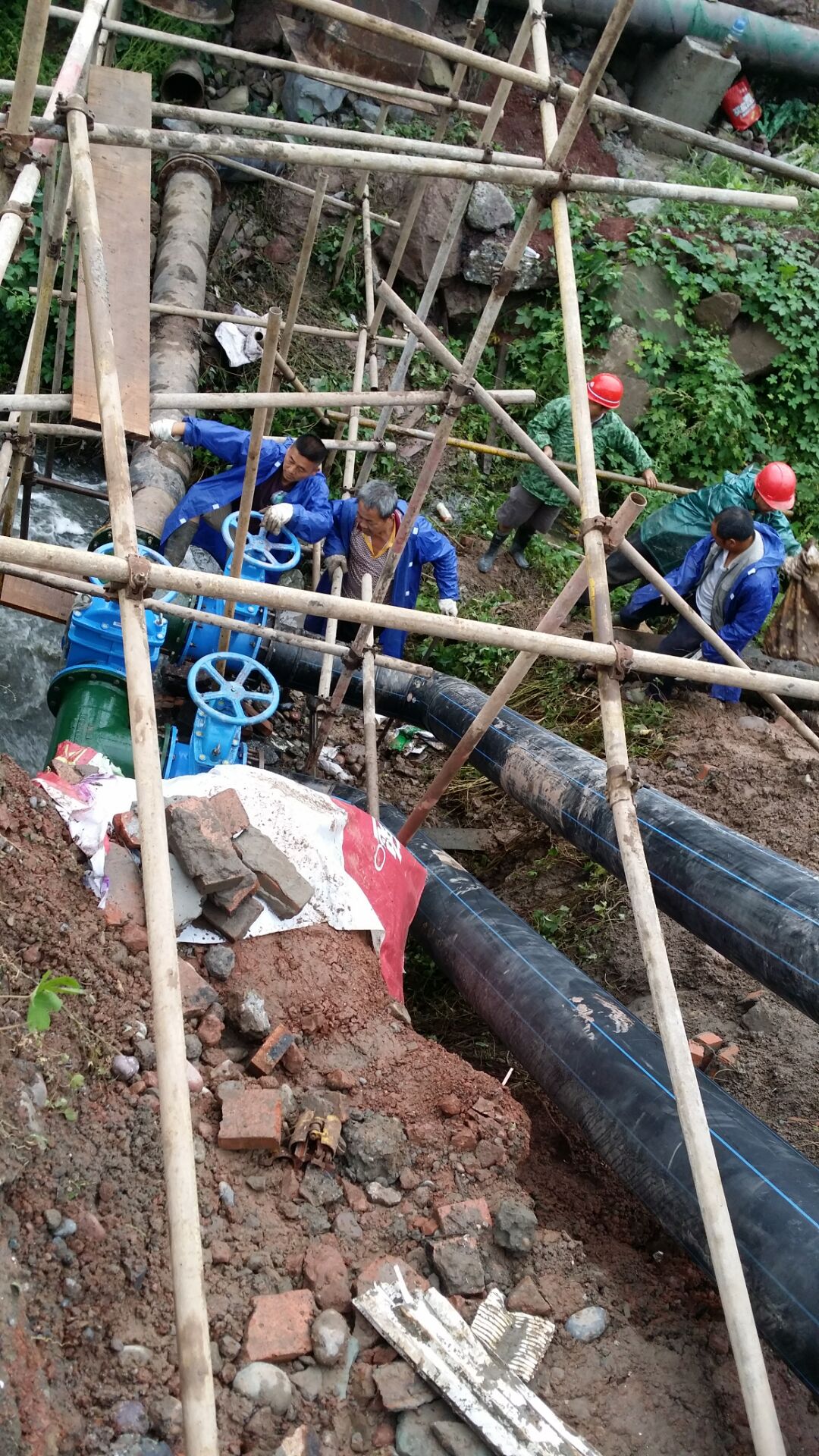 奮戰技改工程  楊灣污水處理廠順利投入試運行