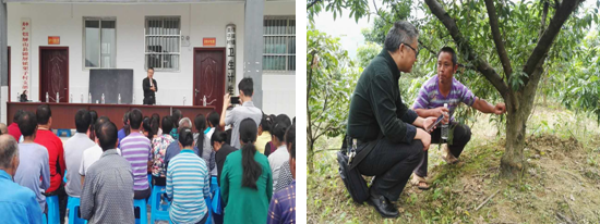 科技扶貧 助力產業發展大提升