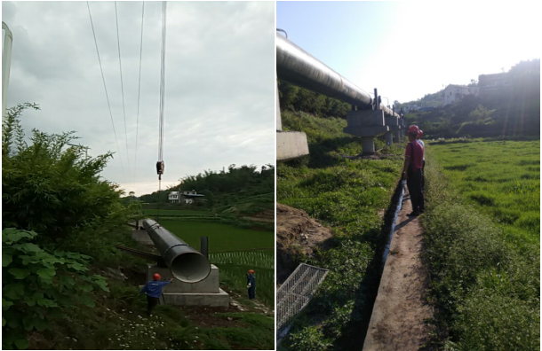 節物風光不相待，滄海桑田須臾改