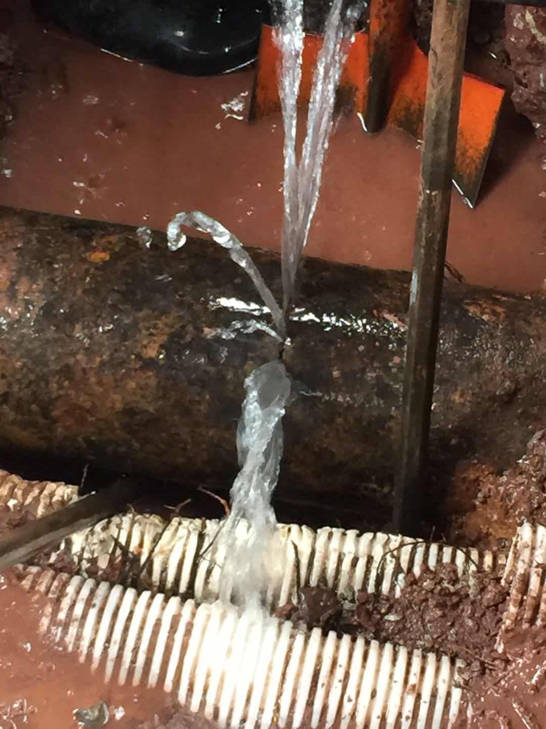 清源水務攜手專業機構保障管網安全