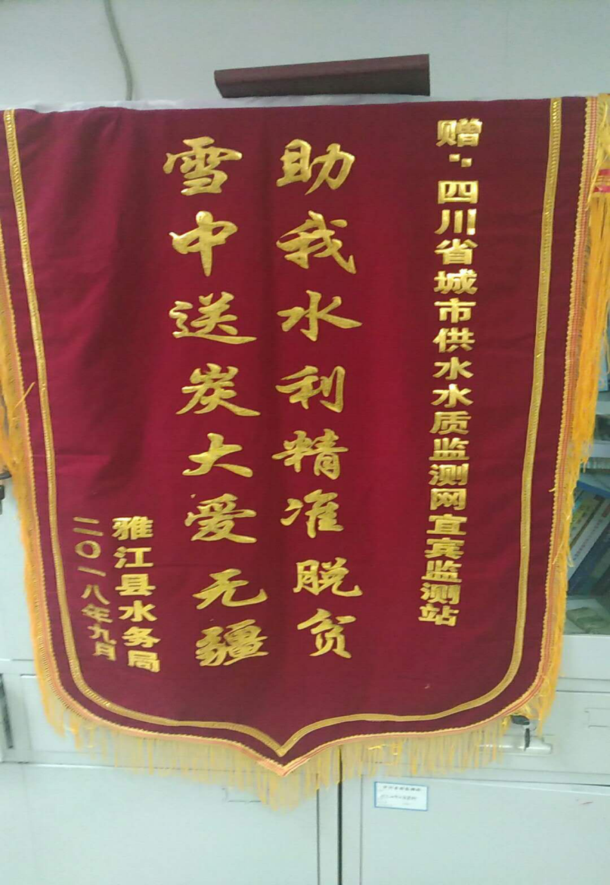 供水排水水質監測網宜賓監測站完成雅江縣水務局水質檢測