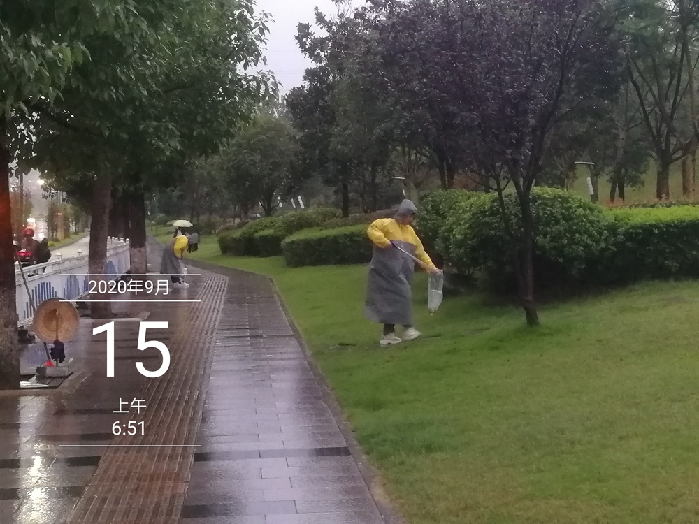 創文同參與  文明不止步