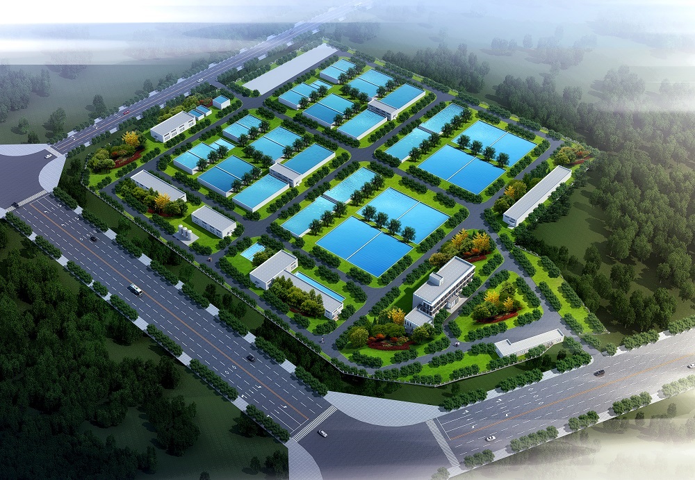 劈波斬浪穩馭舟 五“度”清源啟新航