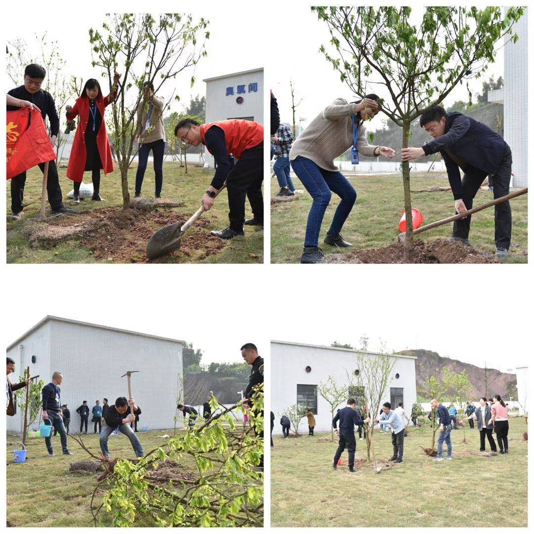 人勤春來早 種綠正當時 ——清源水務集團組織開展“植樹節”活動