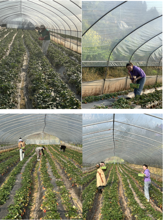 創造多彩生活 共享美好甜蜜