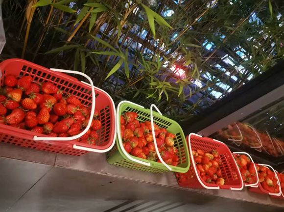 創造多彩生活 共享美好甜蜜