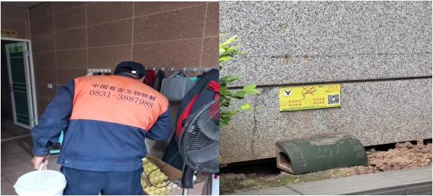 樹文明促健康,綠色環保護家園